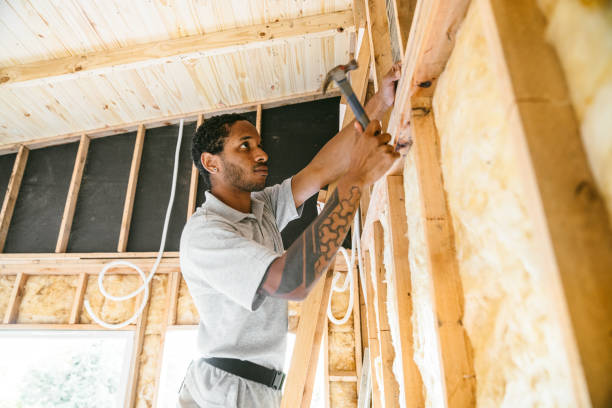 Best Insulation Contractor Near Me  in Moose Lake, MN